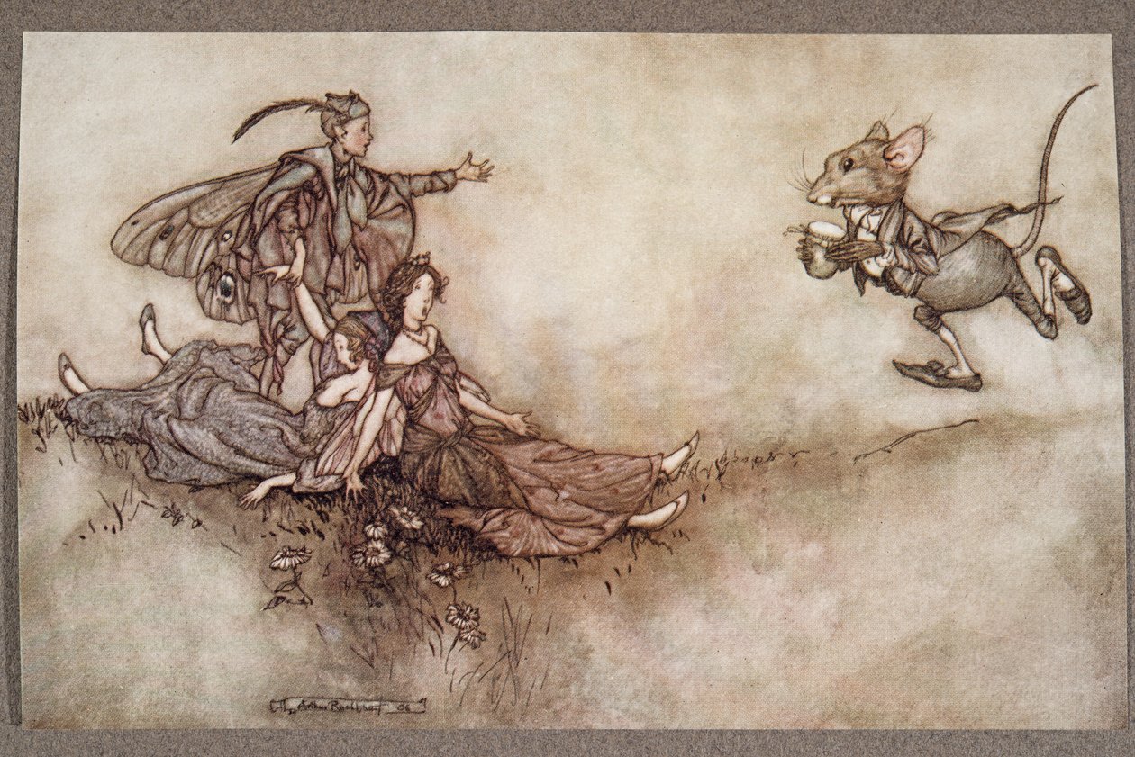 Väggblomsjuice är bra för att återuppliva dansare som faller till marken i ett anfall, från Peter Pan i Kensington Gardens av J M Barrie (1860 - 1937), pub. 1906 av Arthur Rackham