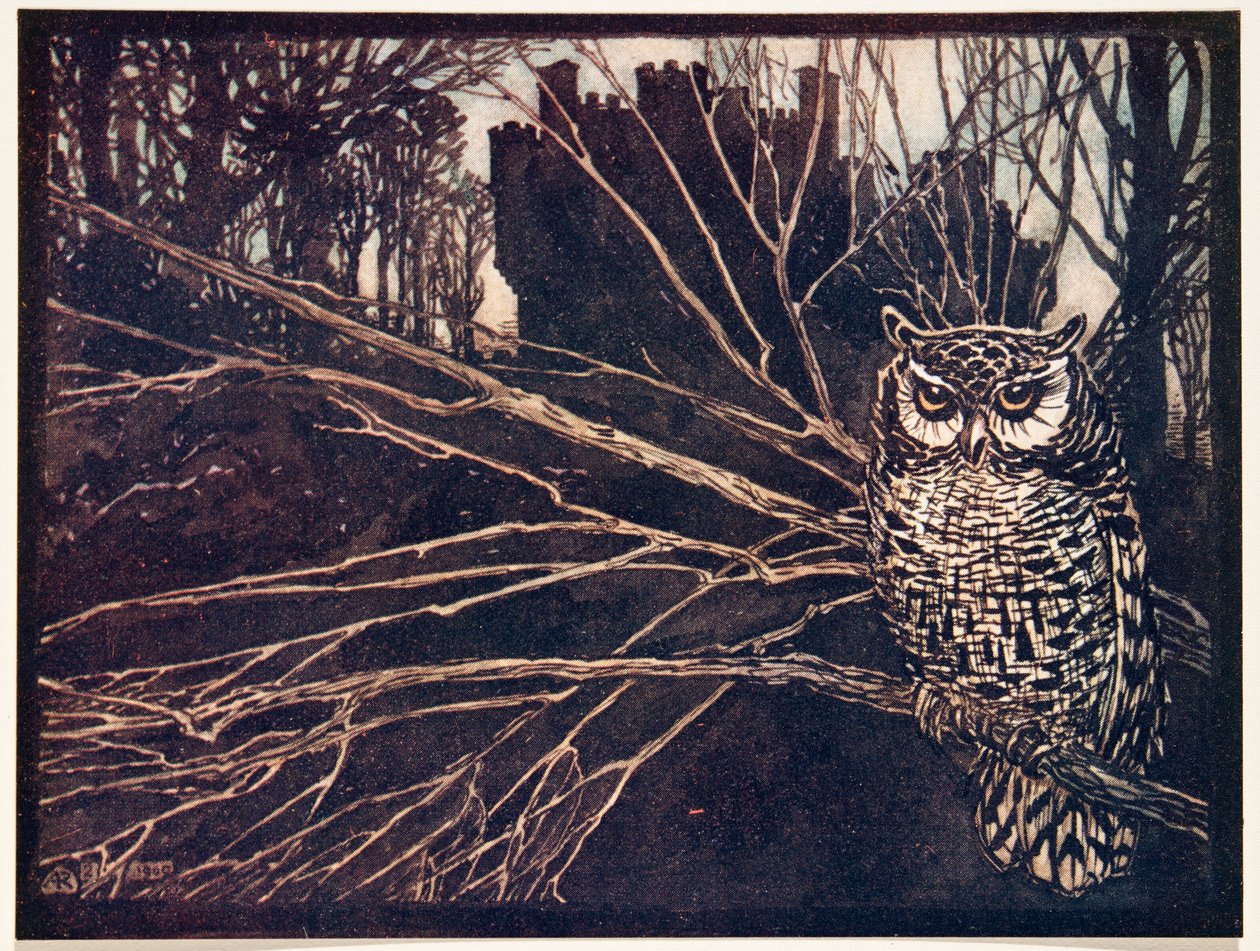 ? eller en skriande uggla.., från Sagorna om bröderna Grimm, pub. 1909 av Arthur Rackham