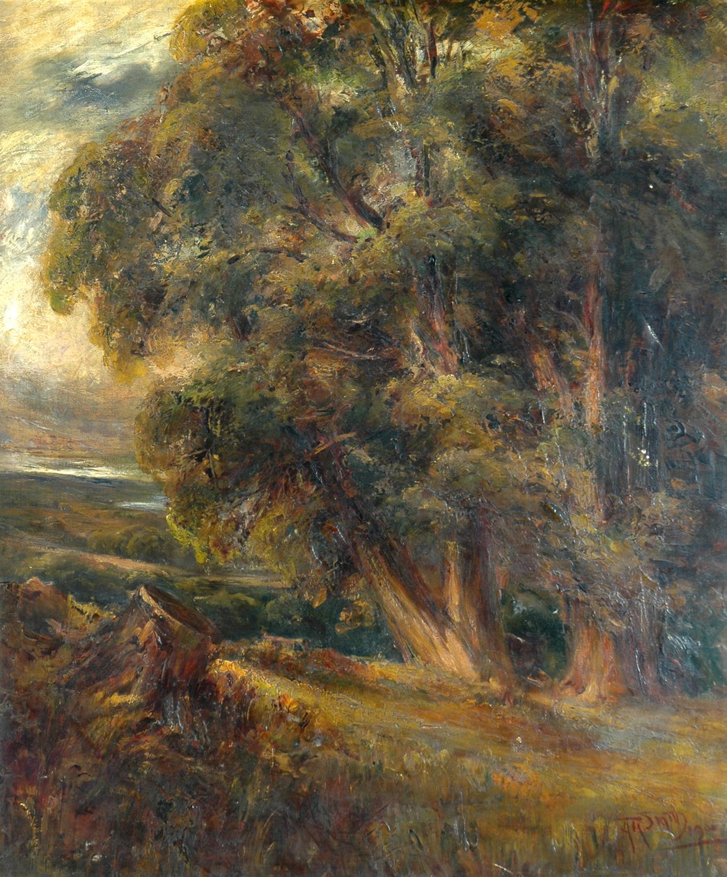 Trädstudie av Arthur Reginald Smith