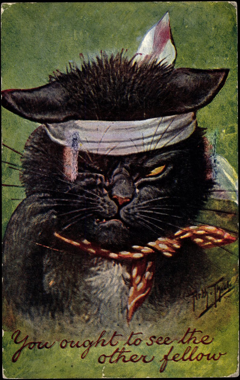 Cat, du borde se den andra killen av Arthur Thiele