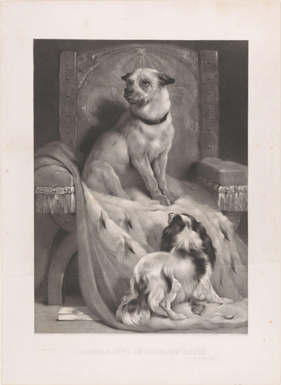 Hund på en hermelinkappa på en tron Geordie sitter i Charlies stol (titel på objekt) av Arthur Turrell