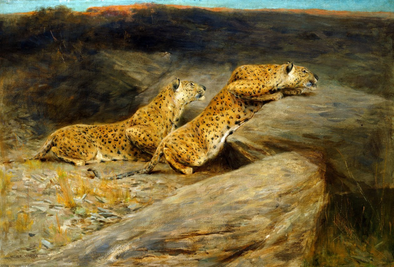 Deer Stalkers (olja på duk) av Arthur Wardle