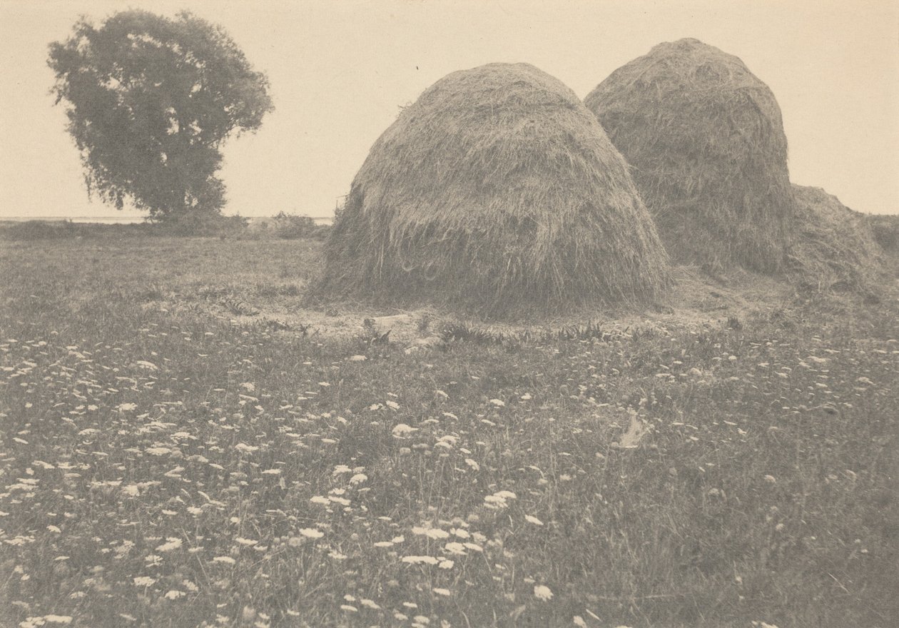 Haystacks, Ipswich,ca. 1894 (foto) av Arthur Wesley Dow