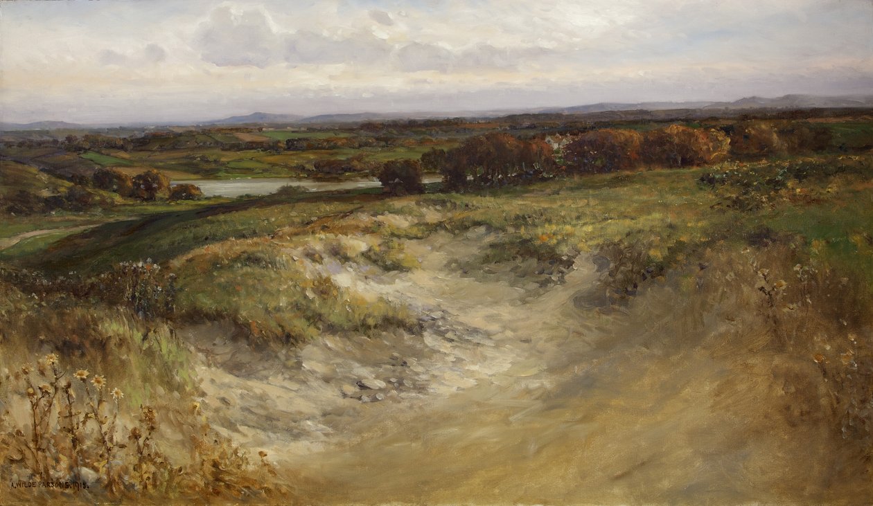 Landskap; användes tidigare som bakgrund i en Naturhistorisk monter av Arthur Wilde Parsons
