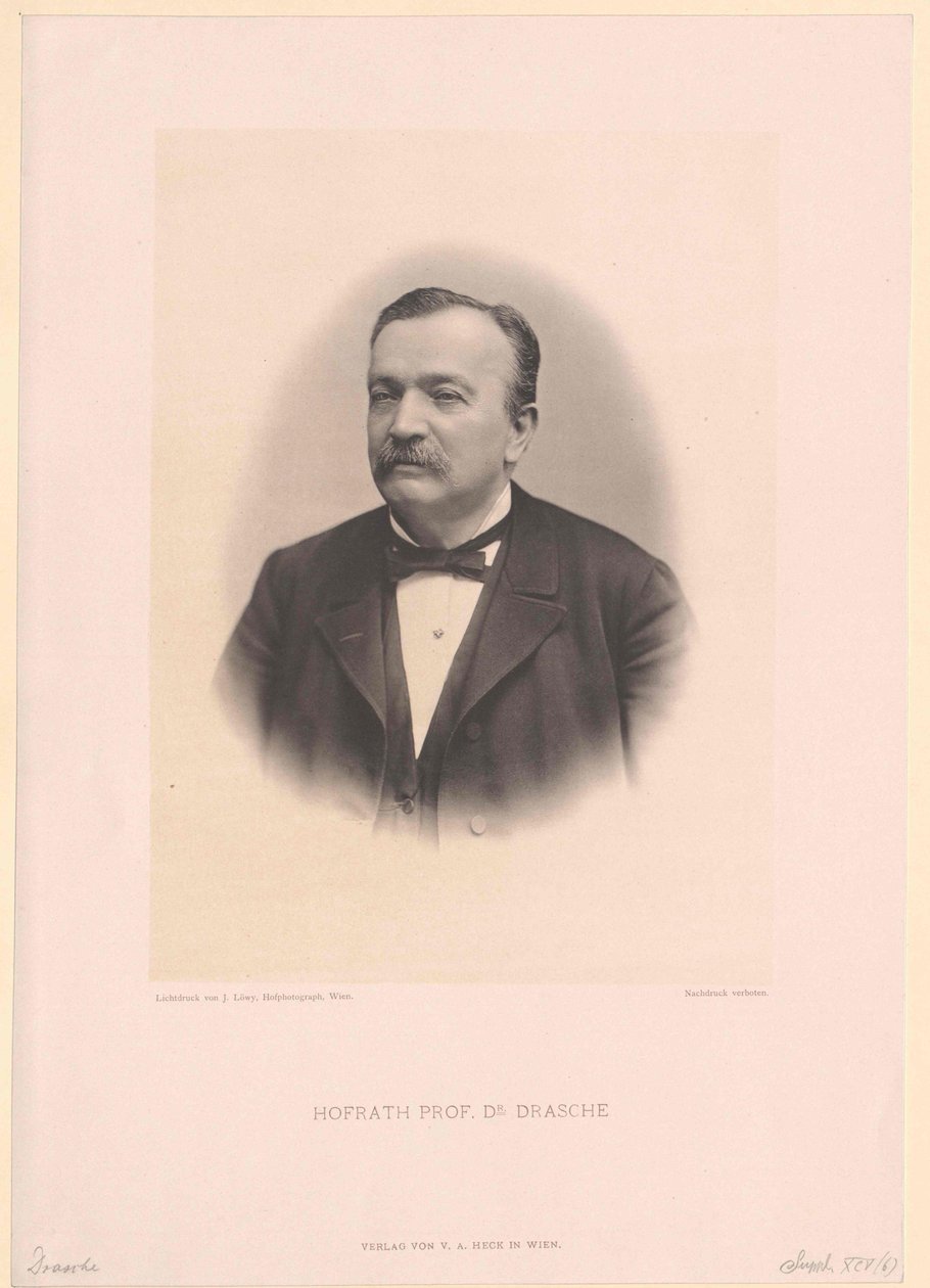 Anton Ritter Drasche av Artist Unknown