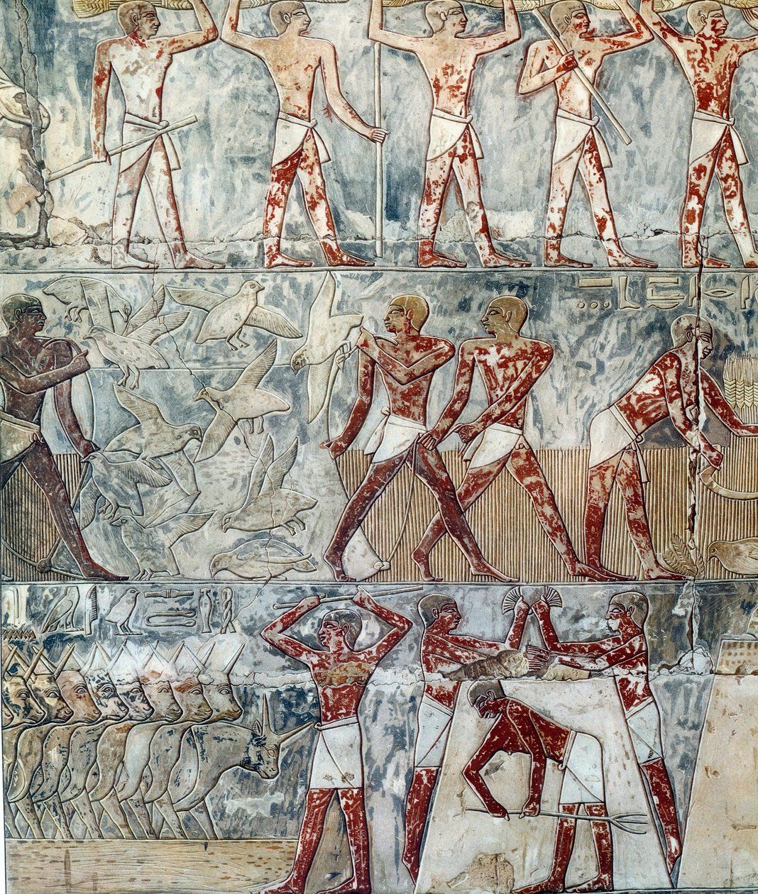Konst Egypten: jordbruksscen, 6:e dynastin av Artist Unknown