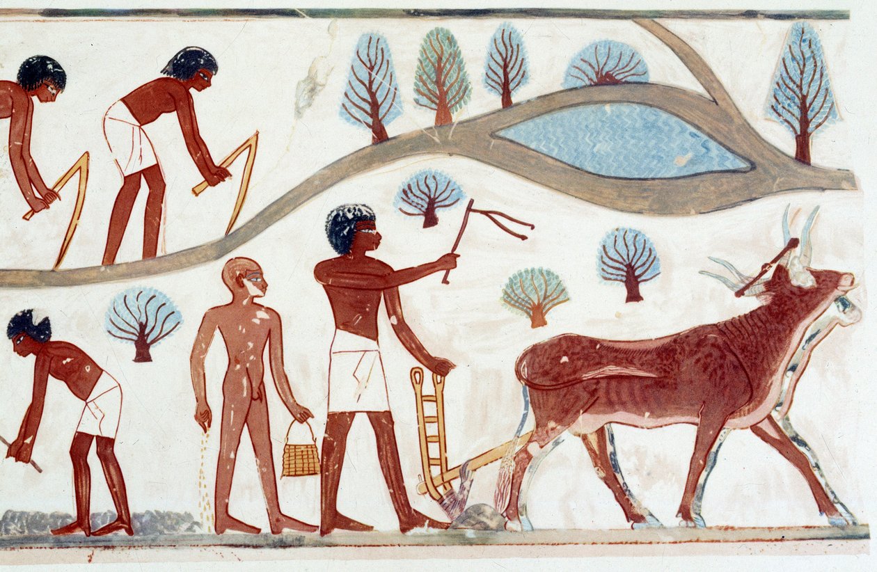 Konst Egypten: plöjningsscen. Faksimilfall från Nakht, Amenophis II:s tid (ca 1450-1425) av Artist Unknown