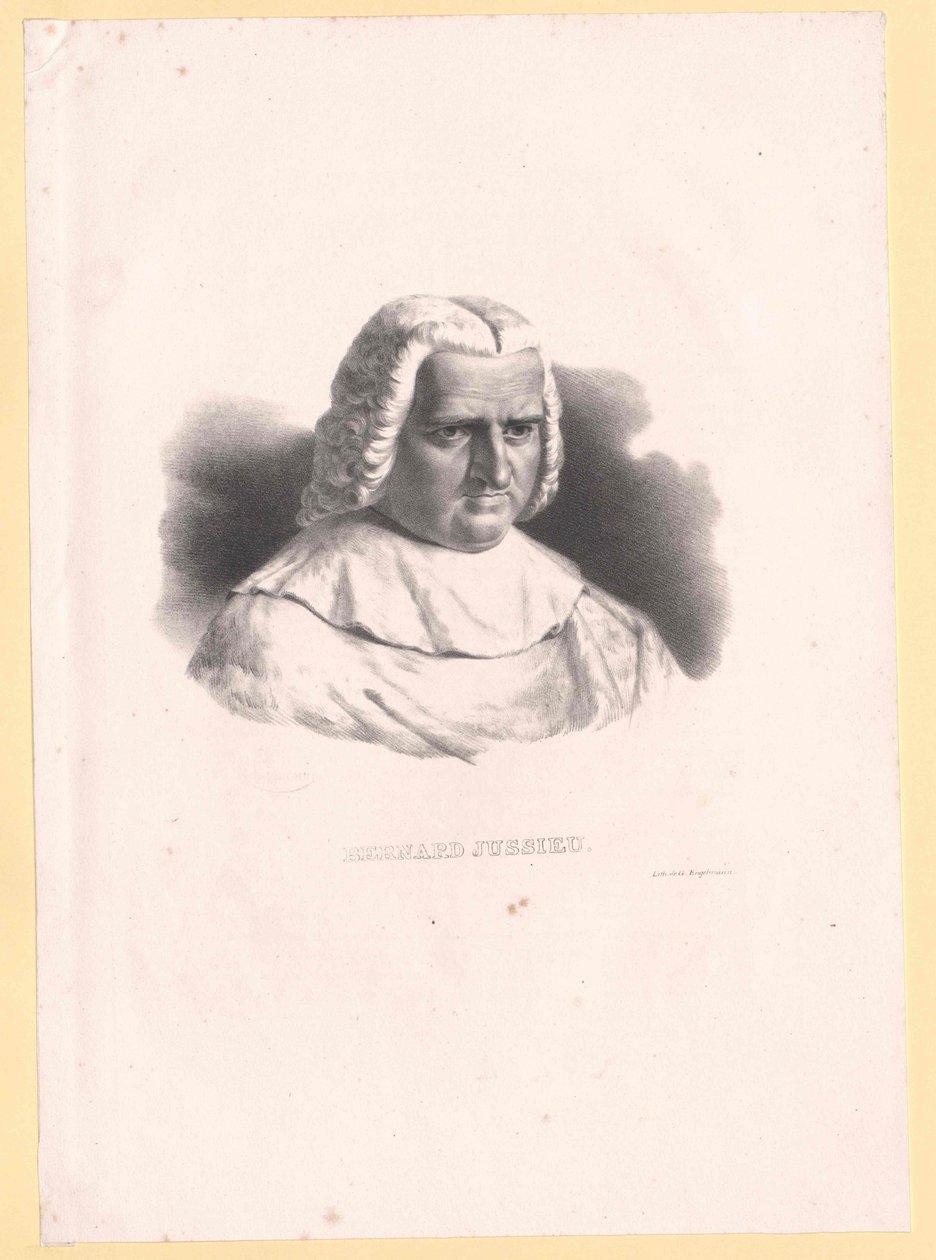 Bernard de Jussieu av Artist Unknown