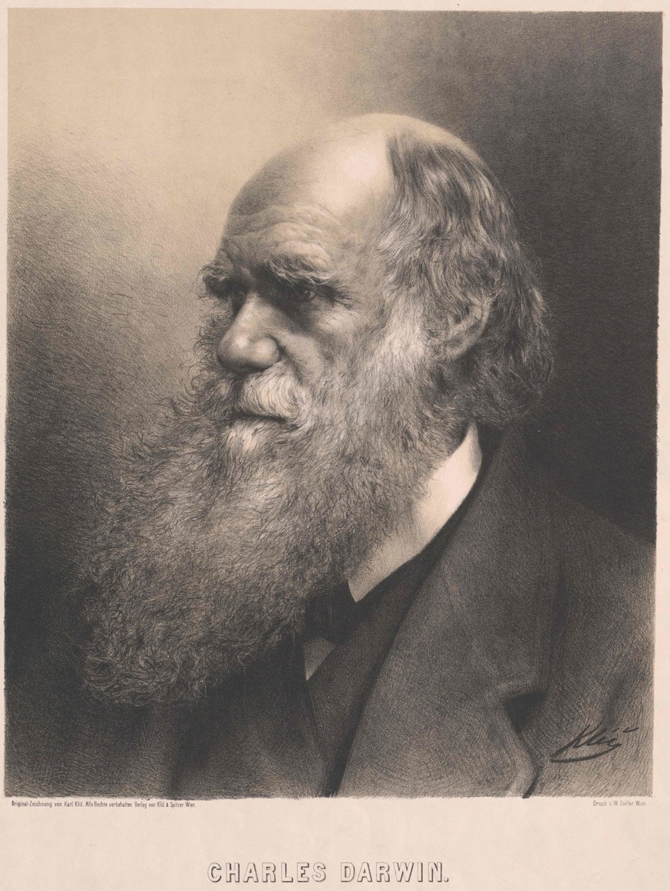 Charles Darwin av Artist Unknown