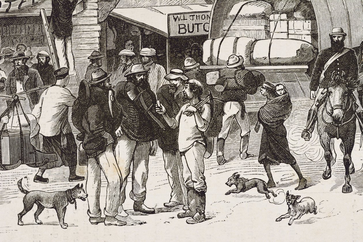 England (C19th). Koloniseringen (1880). Guldgrävarnas liv i Australien. Den engelska kolonin Botany Bay (grundad 1788) befolkades till en början mest av kriminella guldgrävare och handelsmän. Gravyr. Privat samling av Artist Unknown