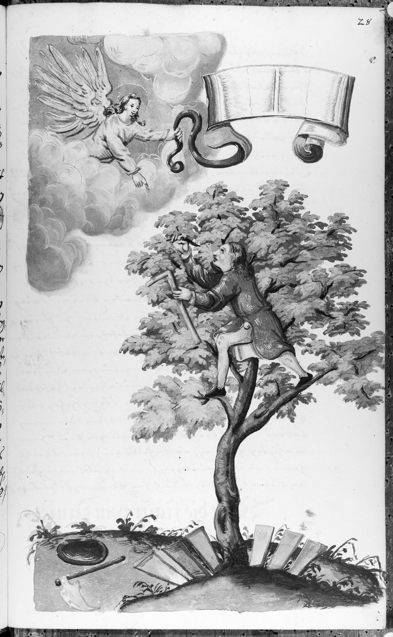 Folio 28 codex 11134 av Artist Unknown
