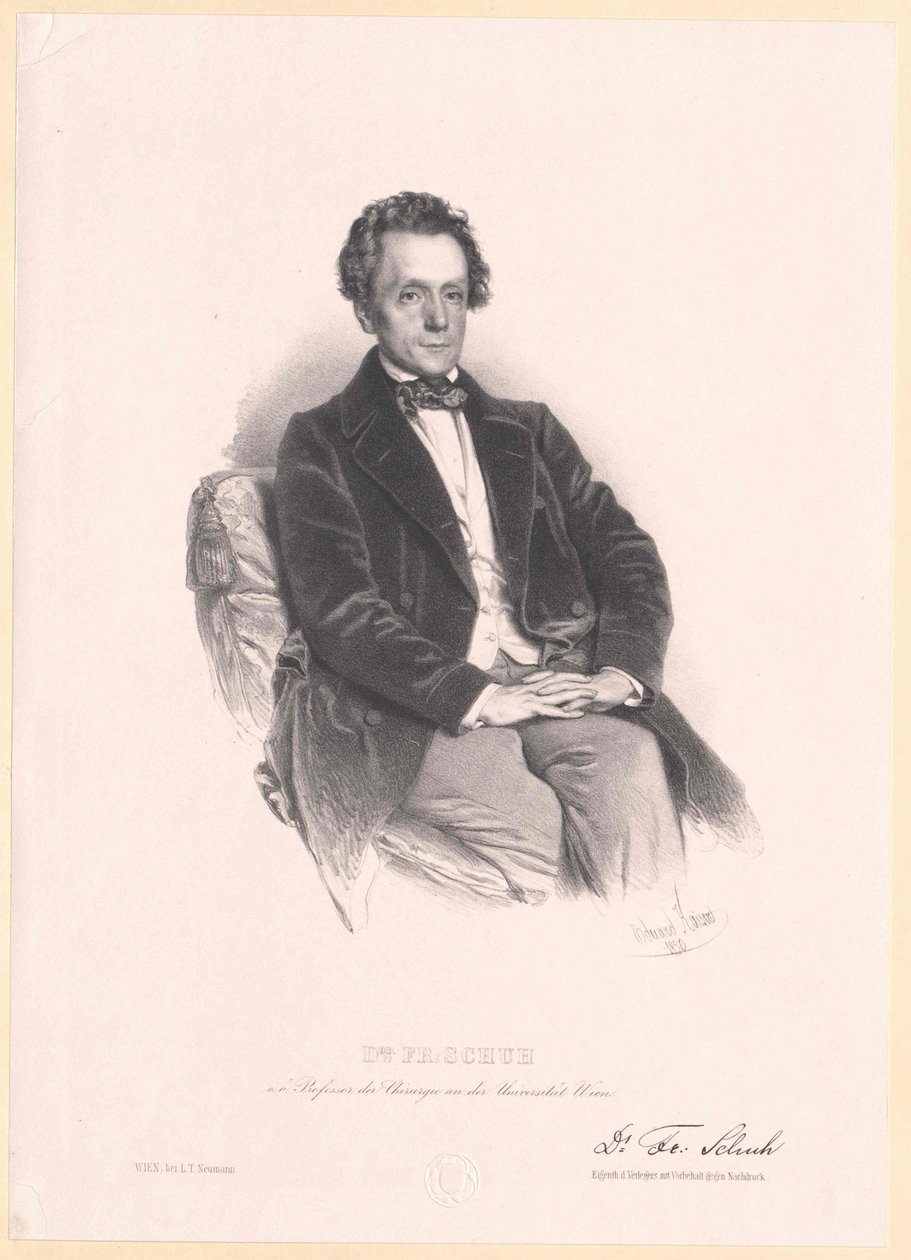 Franz sko av Artist Unknown