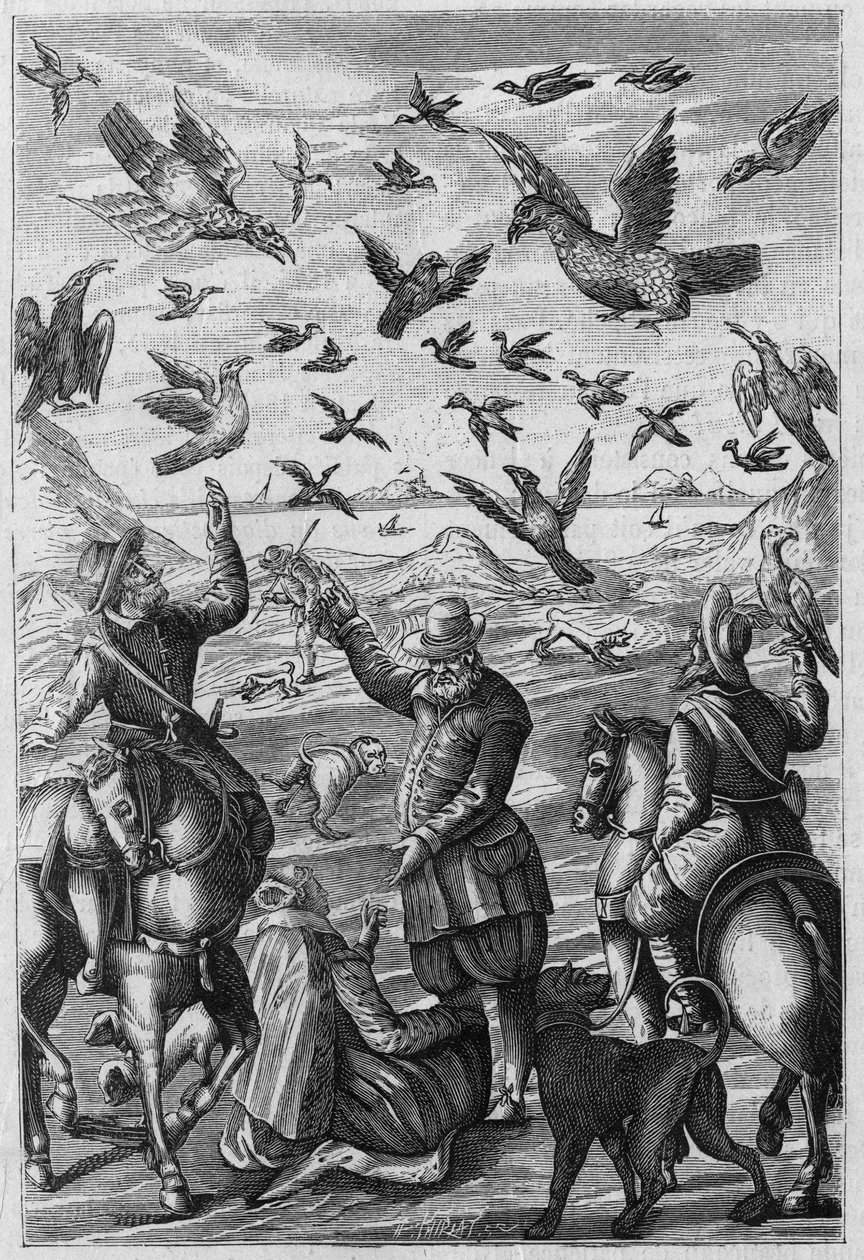 Illustration till "La Nature: revue des sciences et de leurs applications aux arts et a l