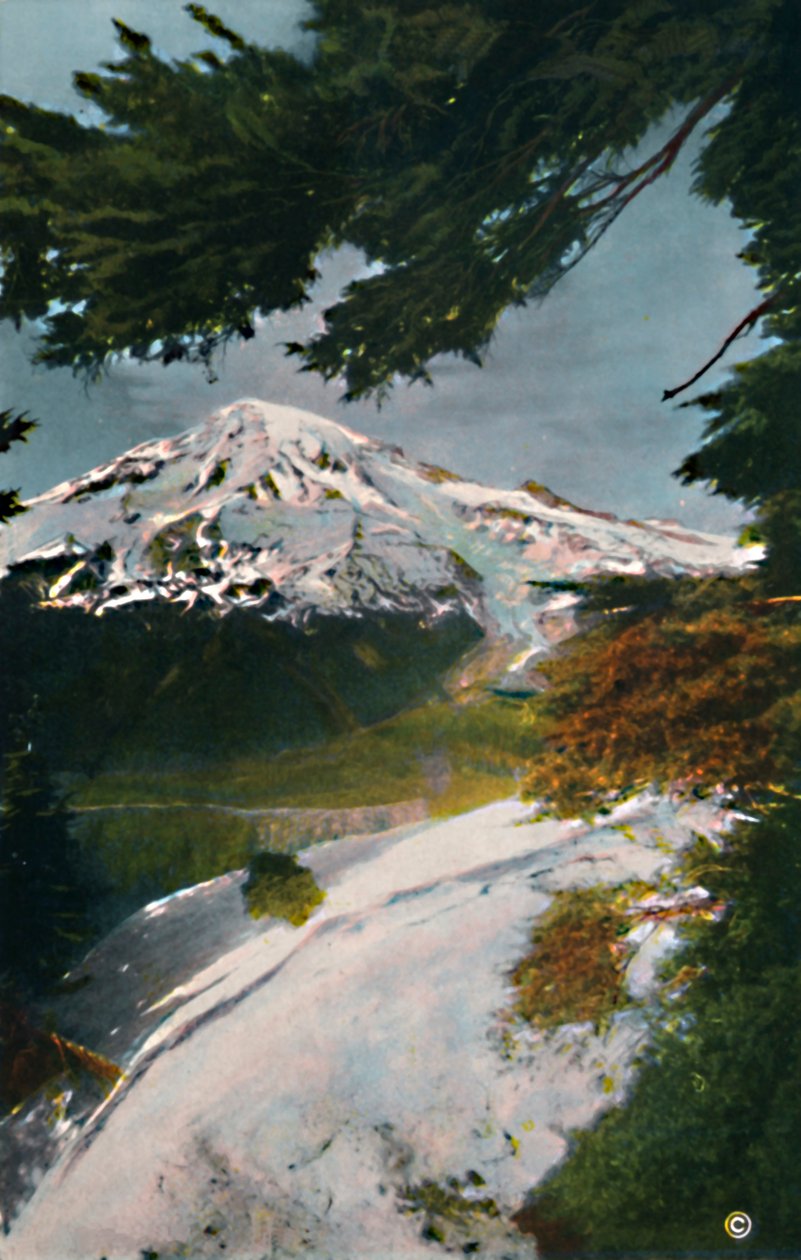 Mount Tacoma från Eagle Peak, Washington, c1916 av Asahel Curtis