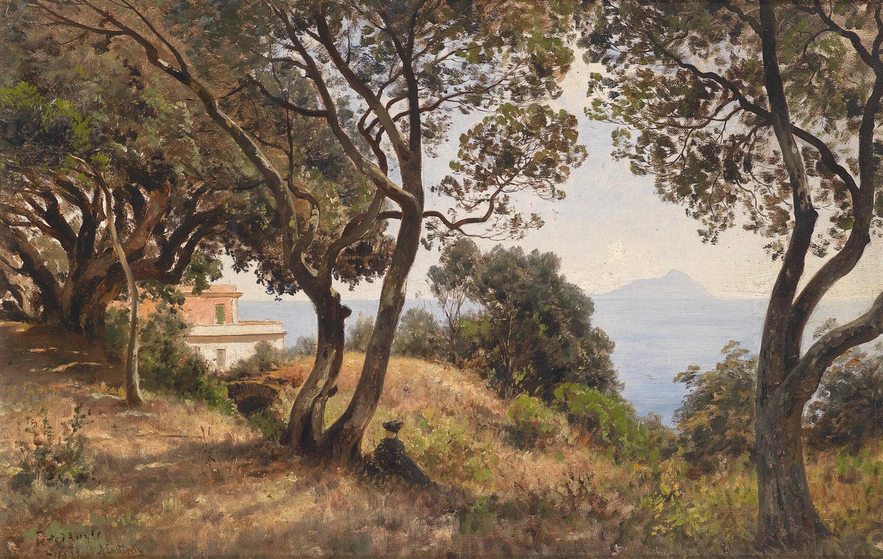 Ascan Lutteroth vy från söder 1889 av Ascan Lutteroth