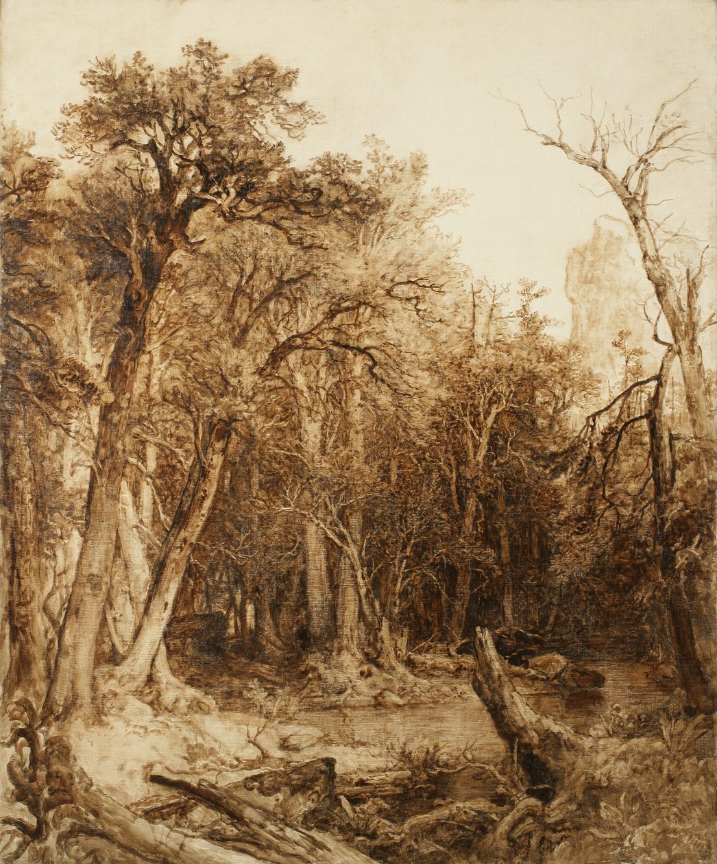 Urskogen, 1854 (olja på förgrundad duk) av Asher Brown Durand