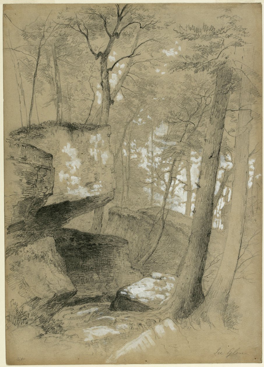 Studera stenar och träd i Ice Glen, Stockbridge, Massachusetts, 1851 (grafit och vit gouache på beige papper) av Asher Brown Durand