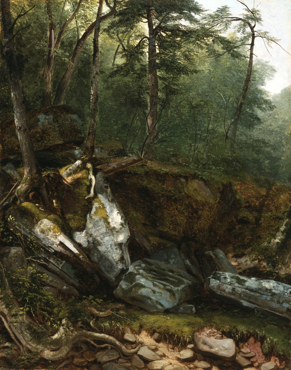 Studie från naturen: Rocks and Trees in the Catskills, N.Y., 1856 av Asher Brown Durand
