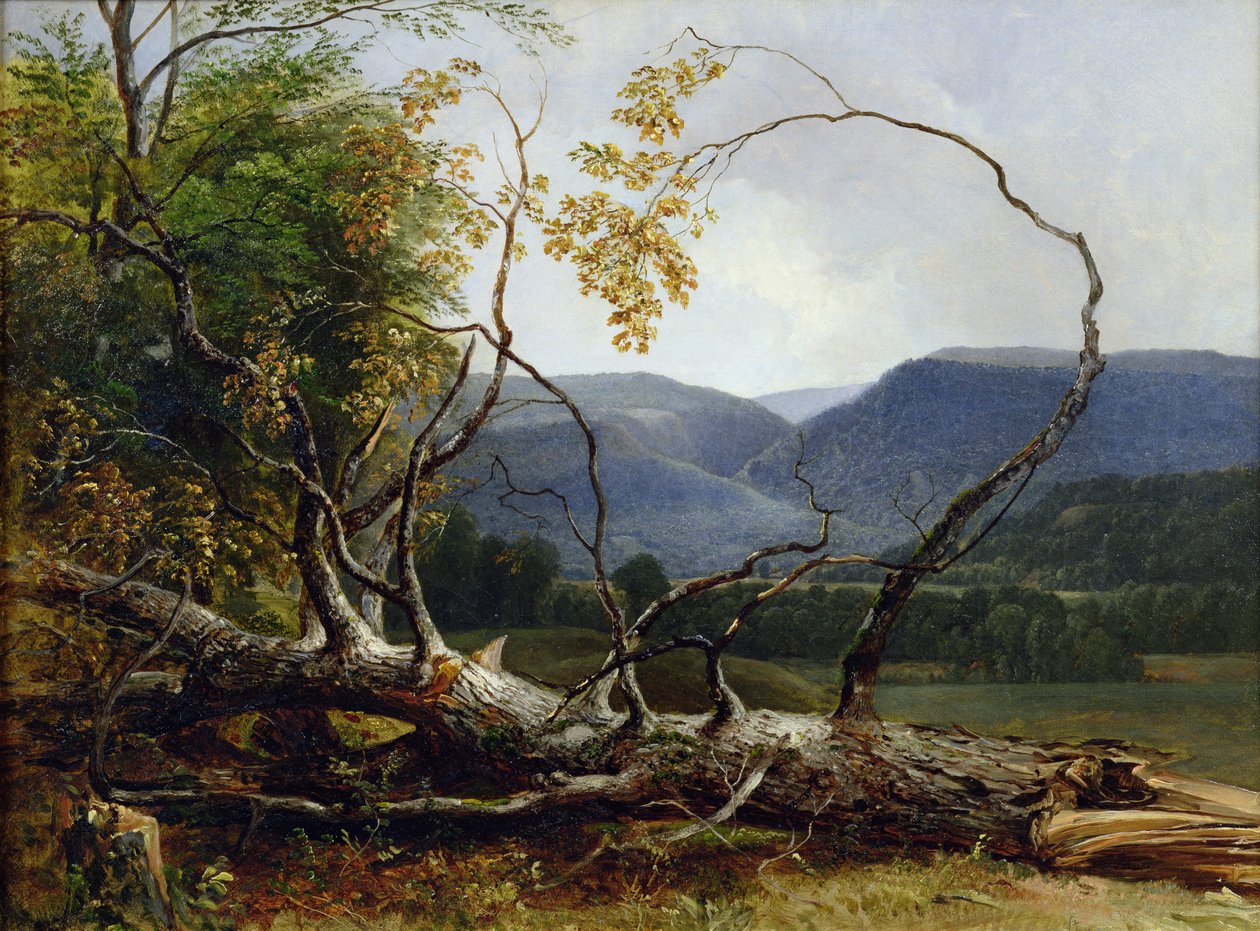 Studie från Nature, Stratton Notch, Vermont, 1853 av Asher Brown Durand