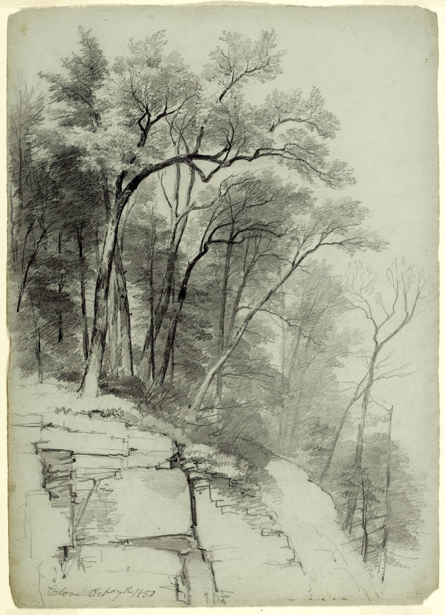 Study of Trees and Rocks, Catskill Clove, New York, 1850 (grafit på grågrönt papper) av Asher Brown Durand