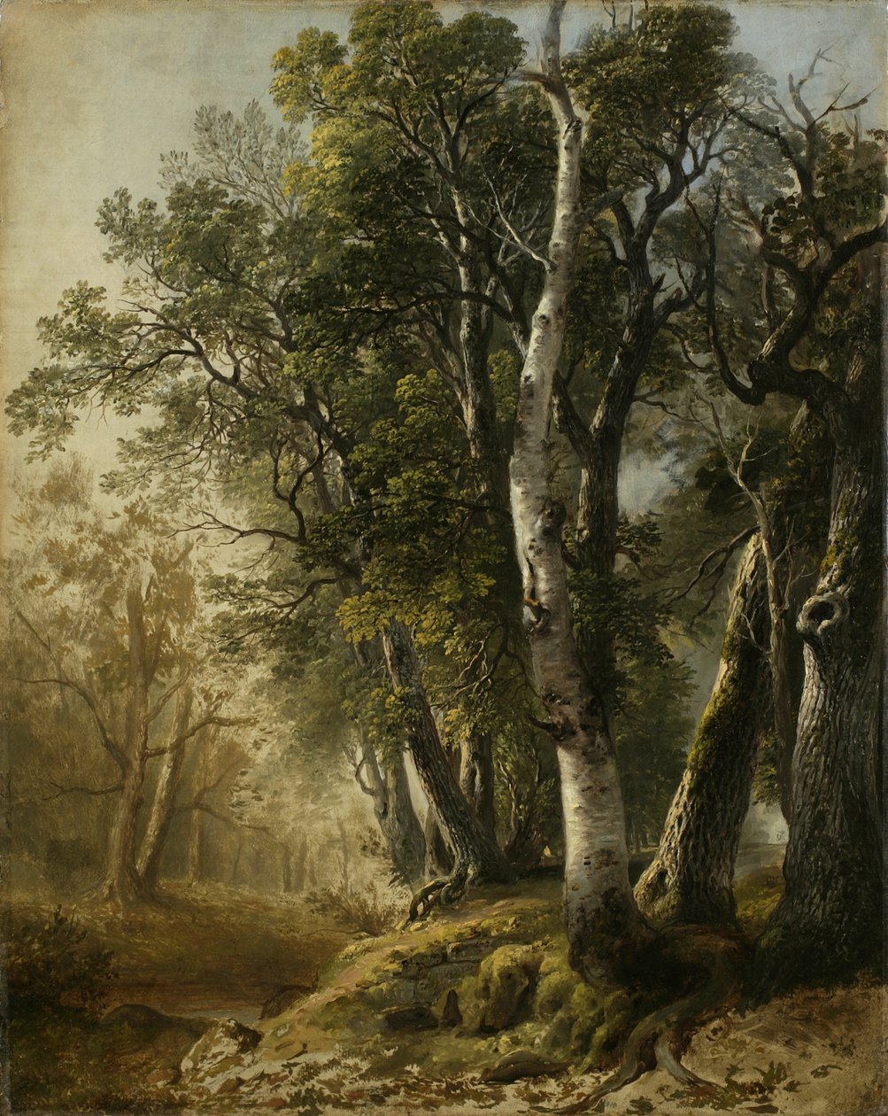 Träd vid Brookside, Kingston, New York, 1846 (olja på linne) av Asher Brown Durand