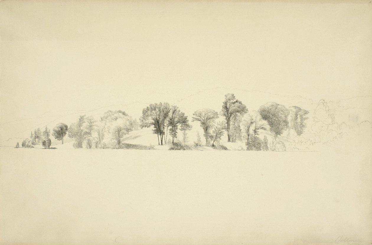 Träd vid sjön George, Bolton, New York, 1863 (grafit på papper) av Asher Brown Durand