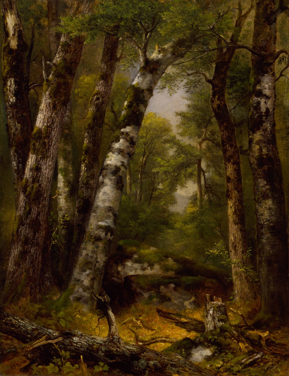 Woodland Glen av Asher B. Durand