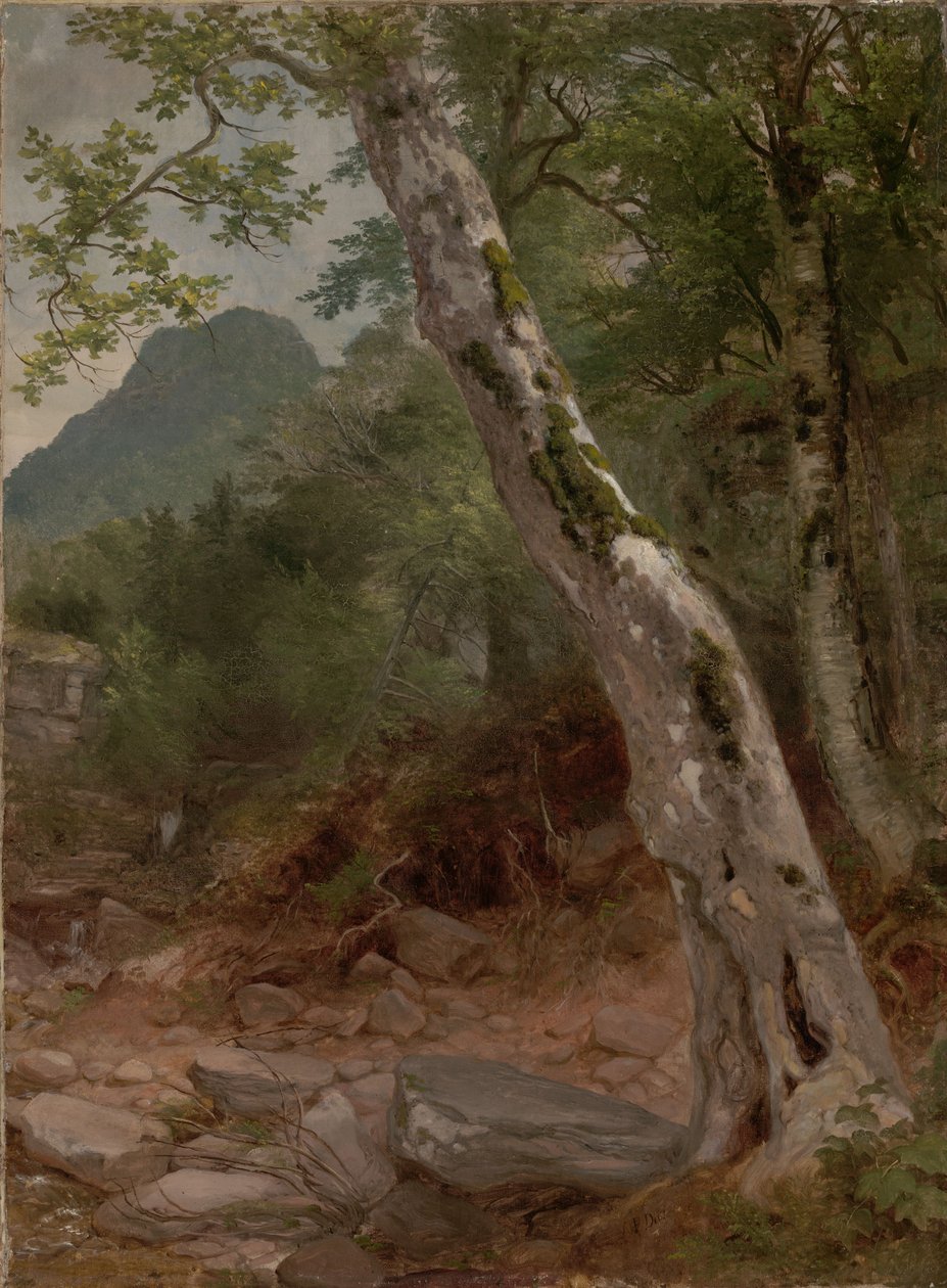 Ett sycamore-träd, Plaaterkill Clove (Sycamore, Kaaterskill Clove) av Asher Brown Durand