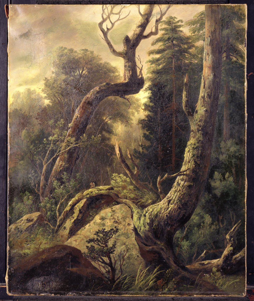 Skogslandskap av Asher Brown Durand