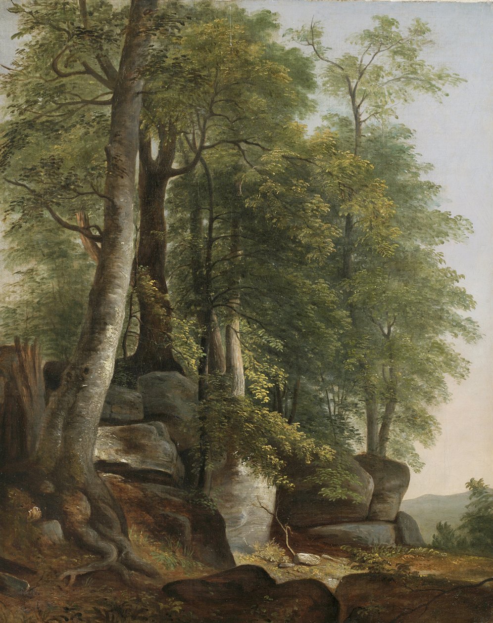 Landskap med stenar och träd, c.1845 av Asher Brown Durand