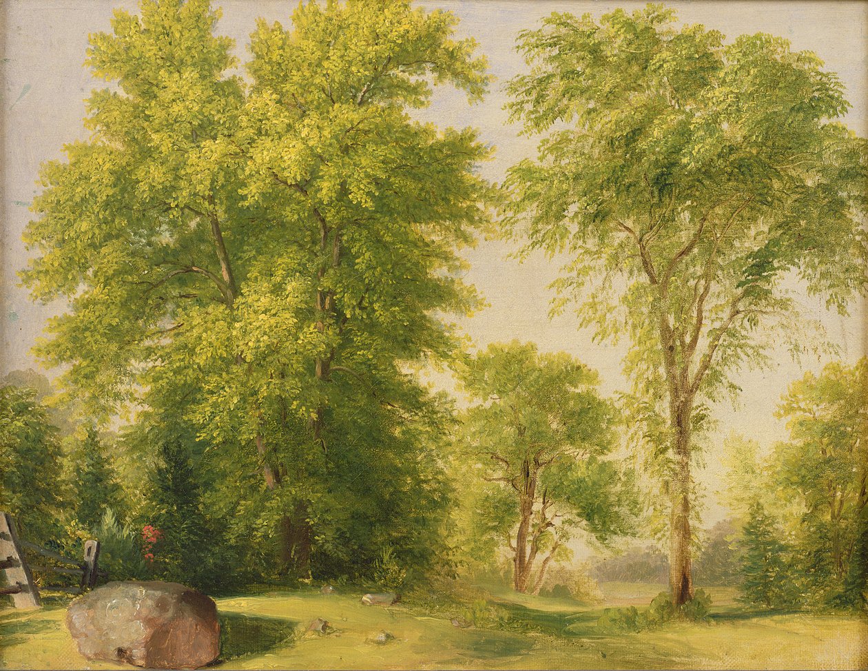 Studie från Nature, Hoboken, New Jersey, ca 1834 av Asher Brown Durand