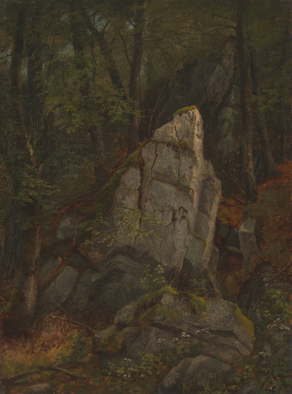 Studie av stenar i Pearsons Ravine av Asher Brown Durand