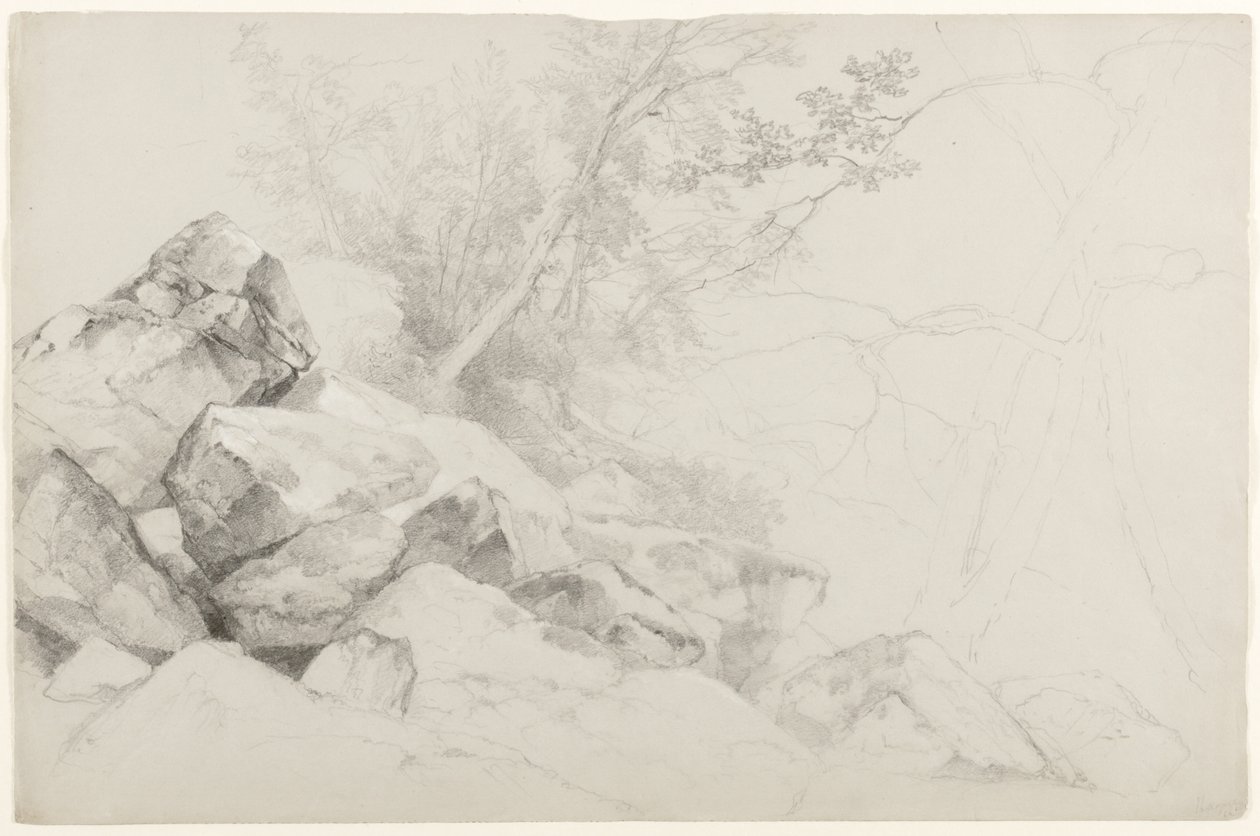 Studie av stenar med träd, Haag, Lake George, New York, 1862 (grafit på grått papper) av Asher Brown Durand