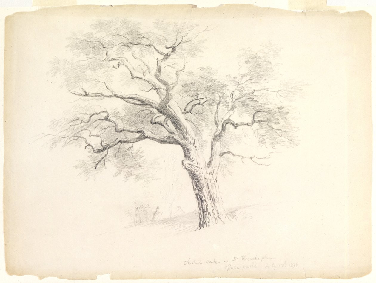 Chestnut Oak on the Hosack Estate, Hyde Park, New York med fem figurer och en skissande konstnär, 1838 (grafit på papper) av Asher Brown Durand