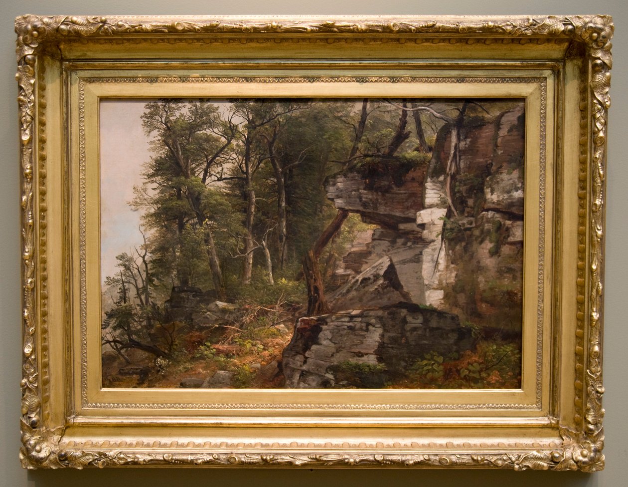 Träd på en stenig sluttning, ca. 1849. av Asher Brown Durand
