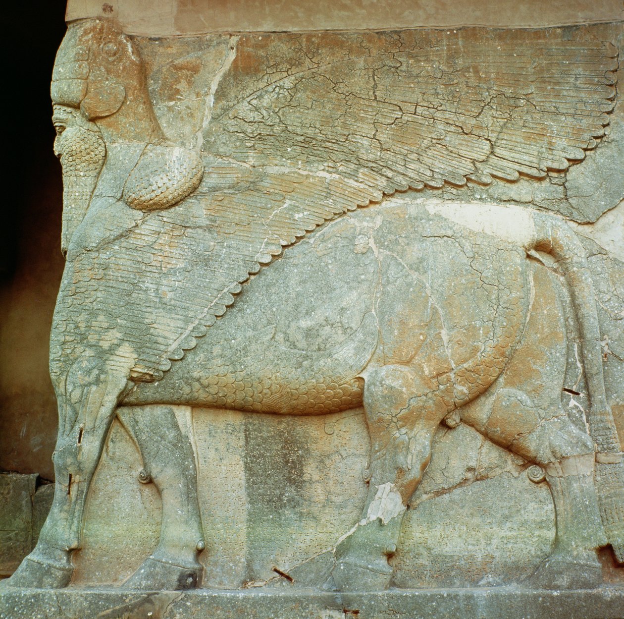 Basrelief av en antropomorf tjur av Assyrian