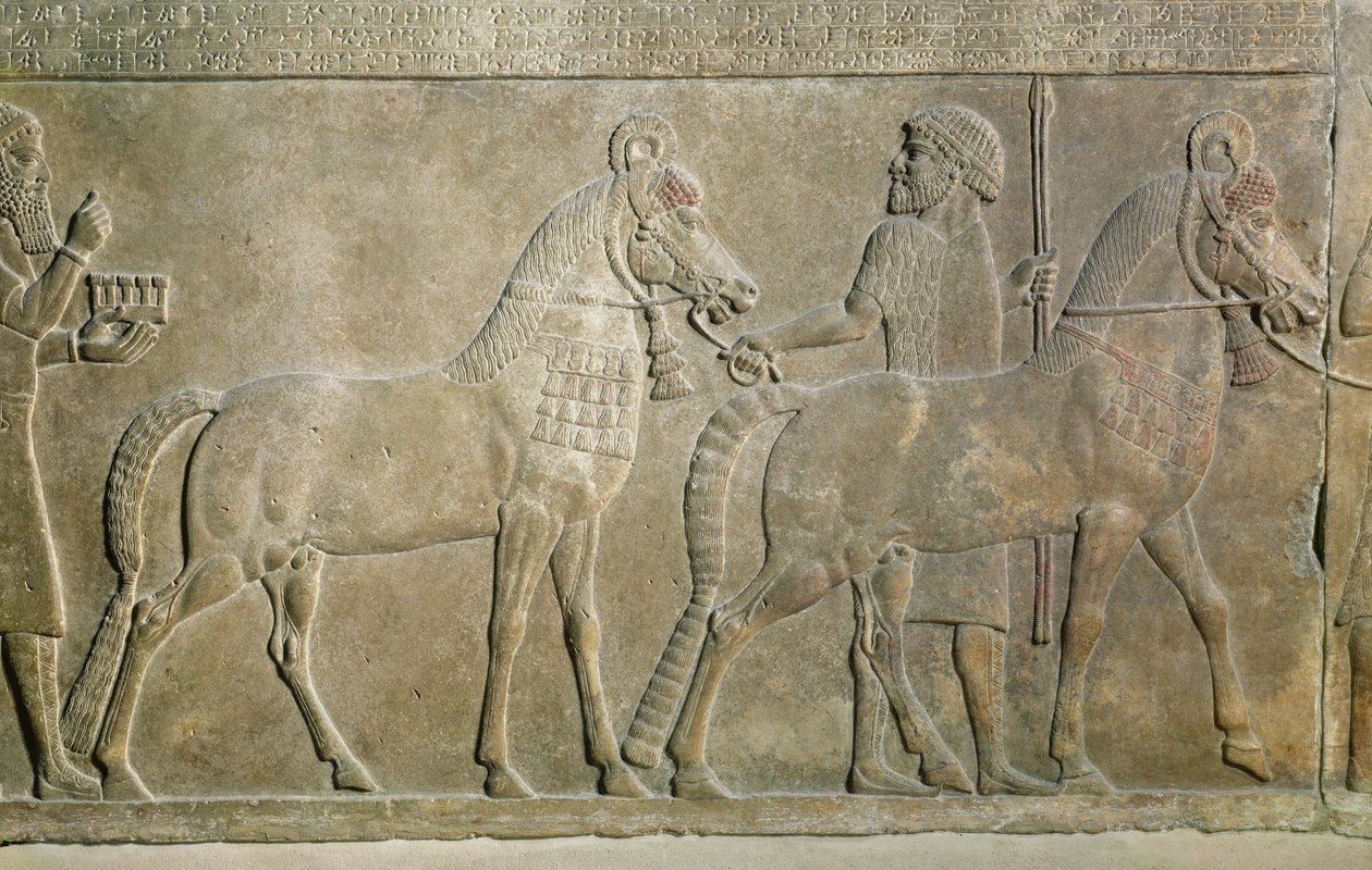 Relief som föreställer Sargon II:s bifloder, från Sargon II:s palats i Khorsabad, Irak (gips) av Assyrian