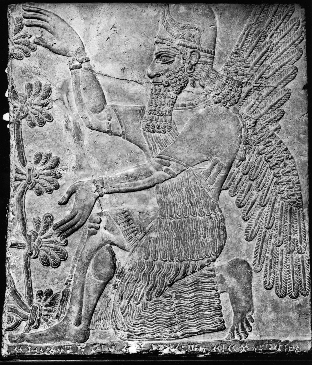 Bevingad ande som dyrkar det heliga trädet, från palatset på Nimrud av Assyrian