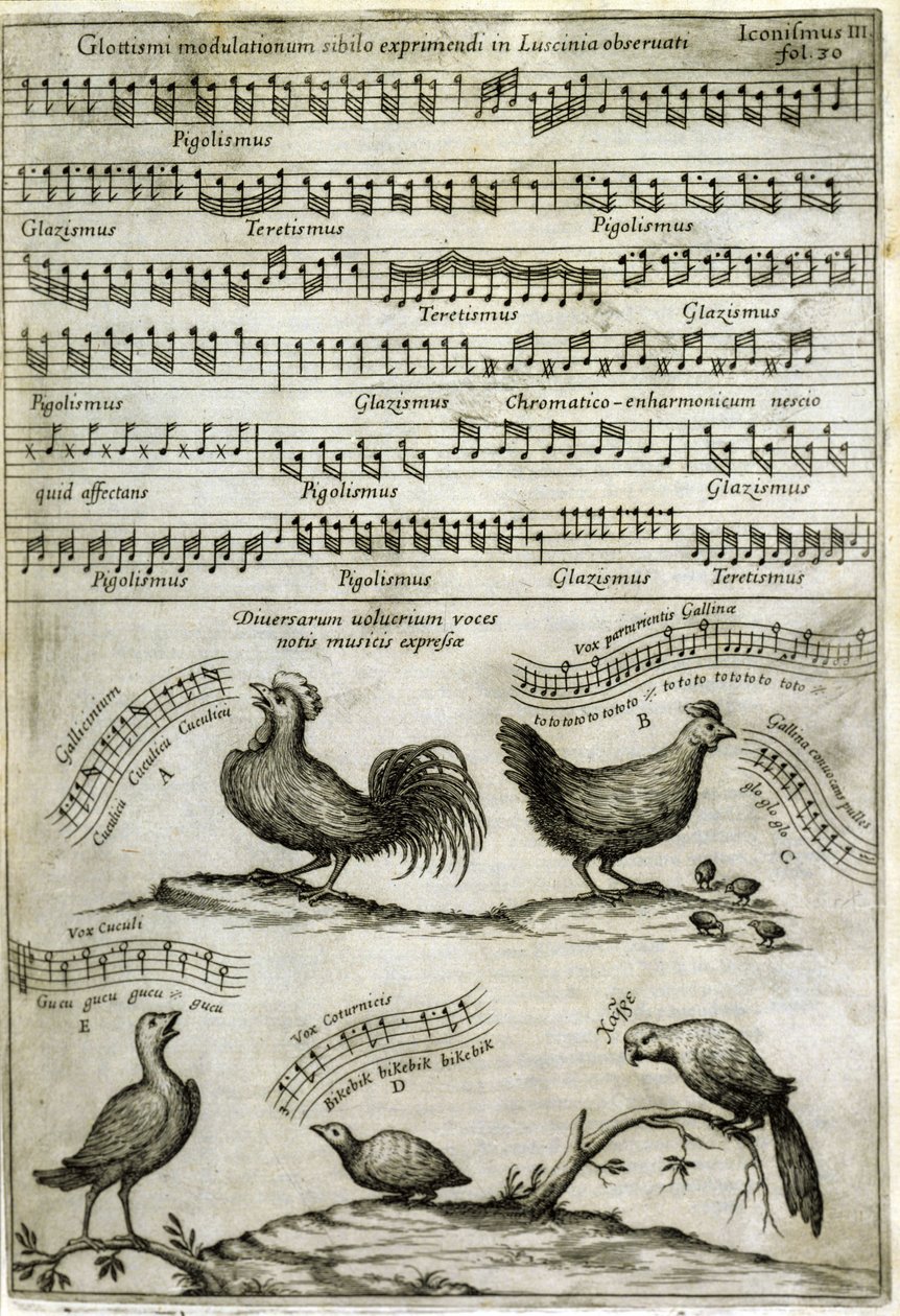 Låten som sänds ut av vissa flyktiga ämnen uttryckt av musiknoter efter: "Musurgia Universalis" av Athanasius Kircher av Athanasius Kircher
