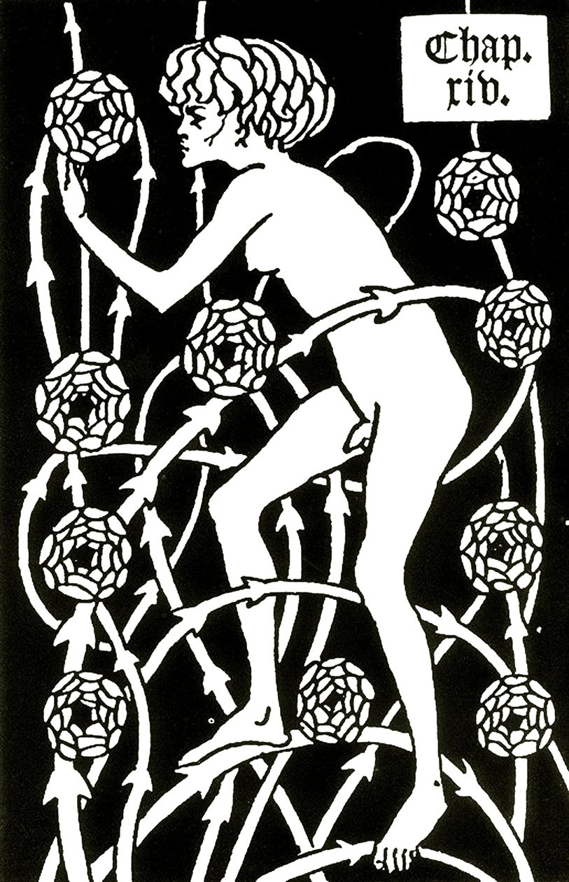 hermafrodit bland rosorna från Le morte d
