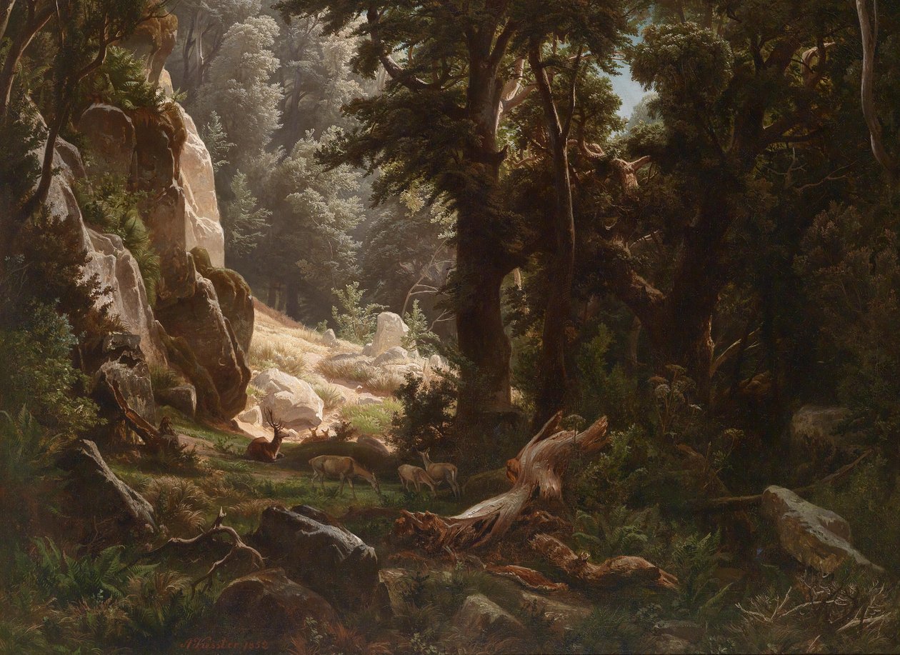 Rotwild im Waldinneren av August Friedrich Kessler