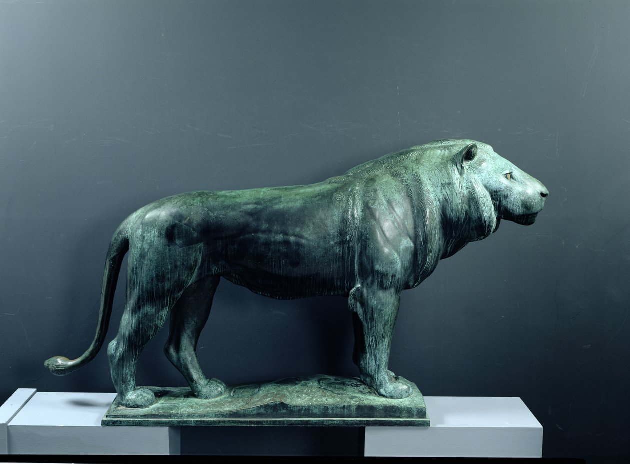 Simba, 1904 (shaba)swed av August Gaul
