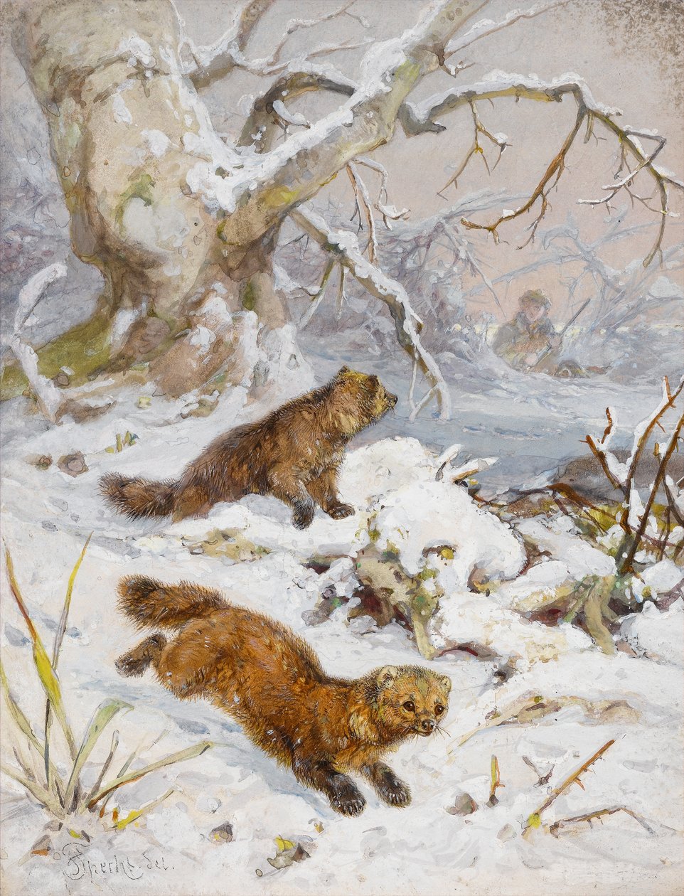Wolverines in the Snow (wc på papper) av August Specht
