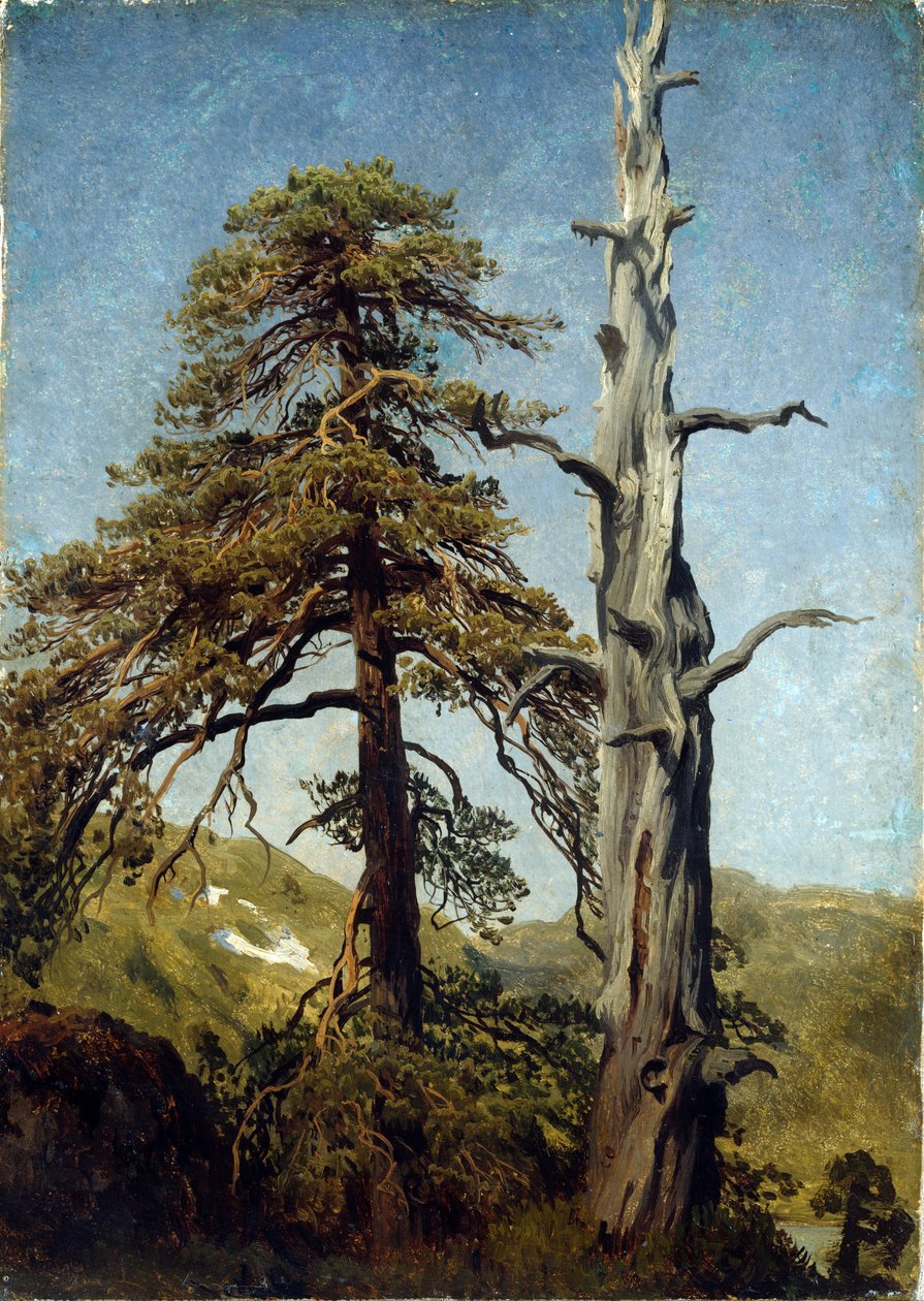 ""Studier av träd, Norge"" Målning av August Cappelen (1827-1852) 1850 Nationalmuseet för konst, Oslo, Norge av August Cappelen