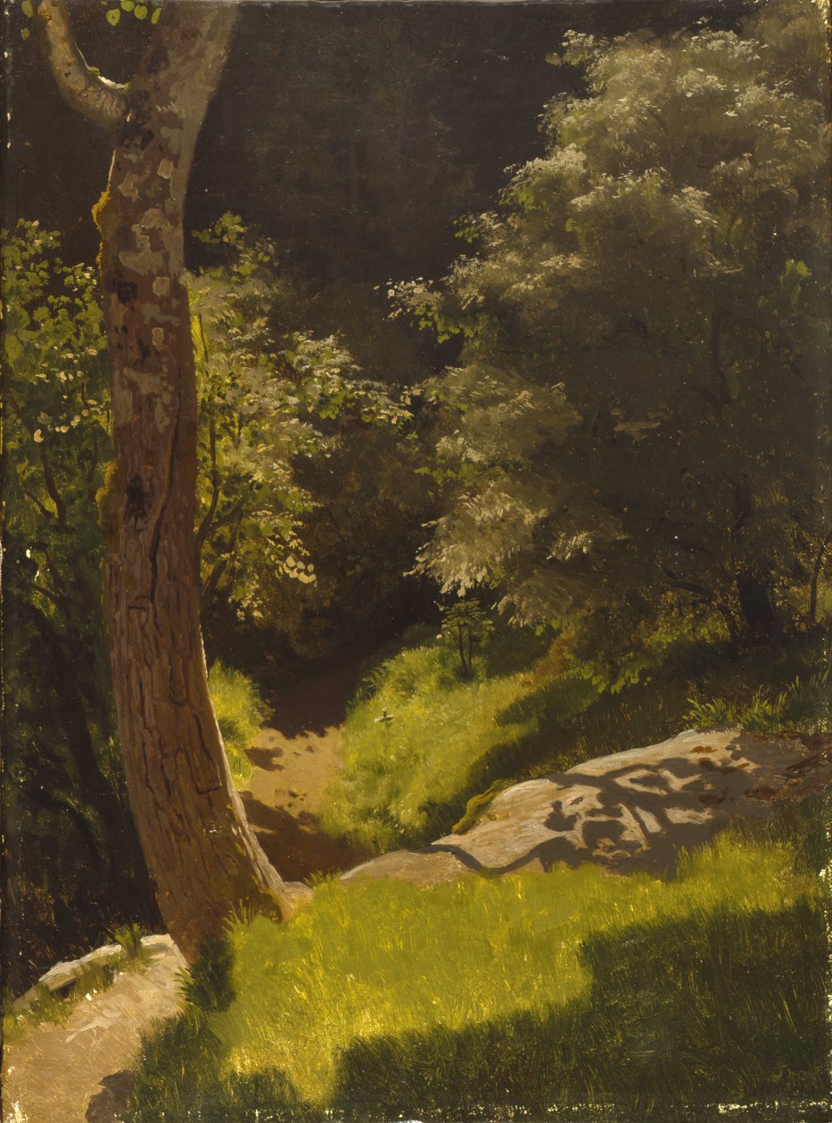 Parklandskap med trädgårdsgång (olja på duk) av August Cappelen