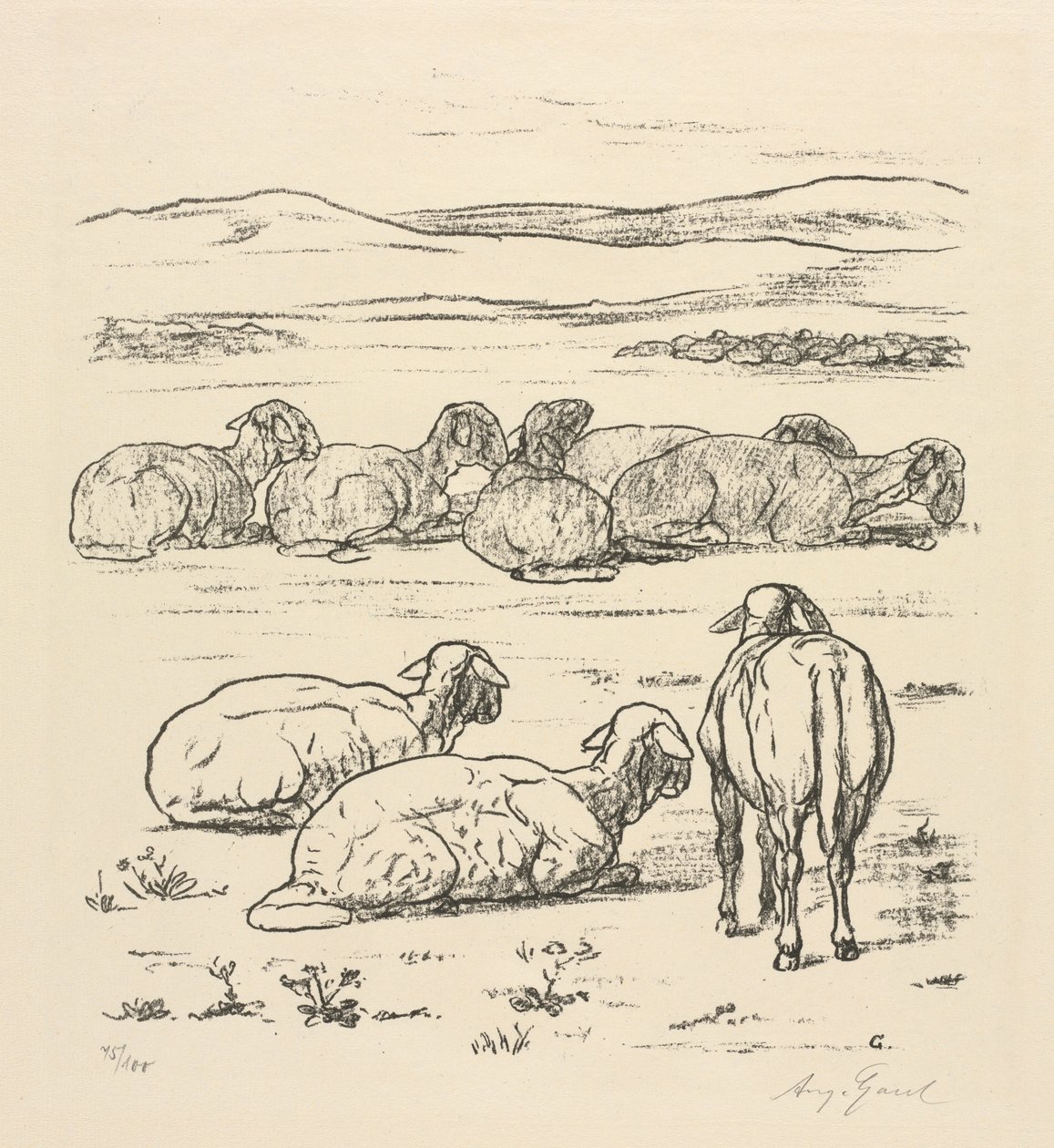Får av August Gaul
