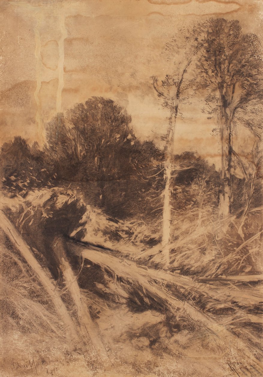 trädstudie av August Schaeffer von Wienwald