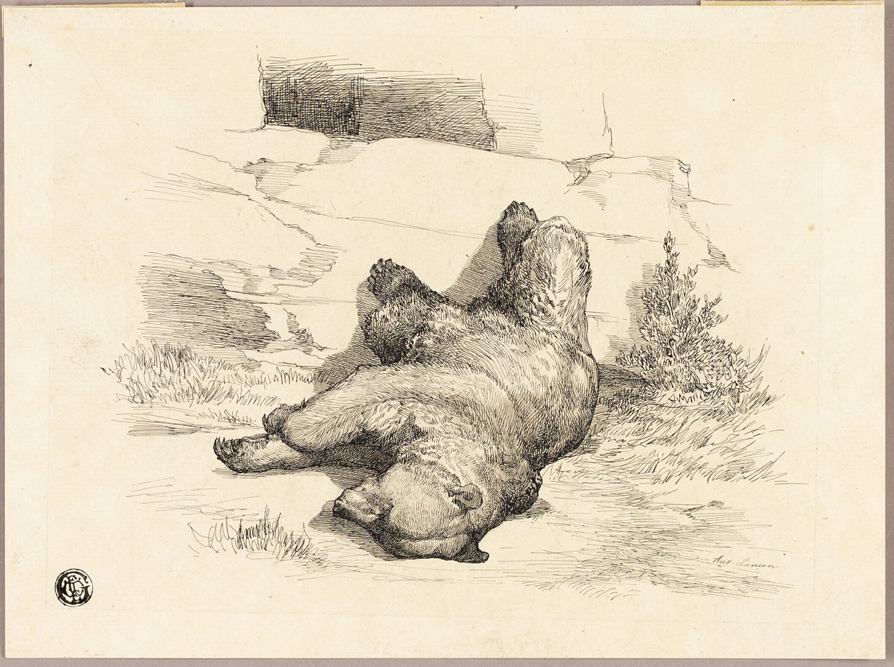 Rysk björn av Auguste Andre Lancon