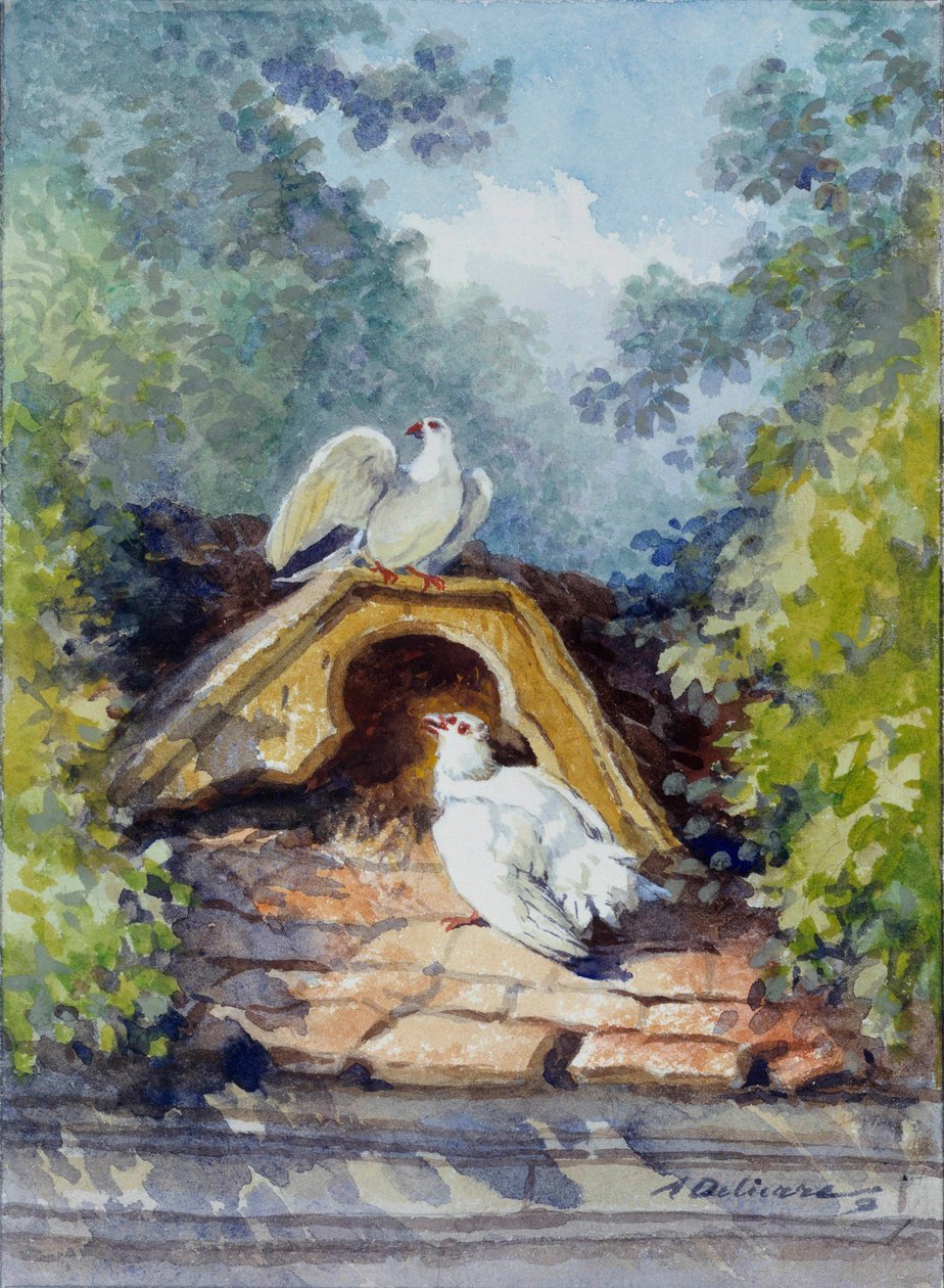 De två akvarellduvorna av Auguste Delierre (1829-1891) till fabeln av Jean de la Fontaine (1621-1695) 1800-talet. Chateau Thierry. La Fontaine-museet av Auguste Delierre