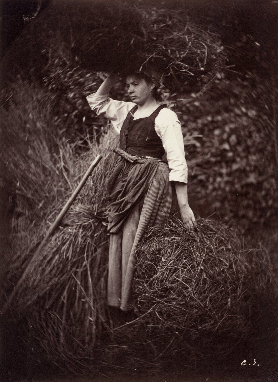 Bonde, c. 1870. av Auguste Giraudon